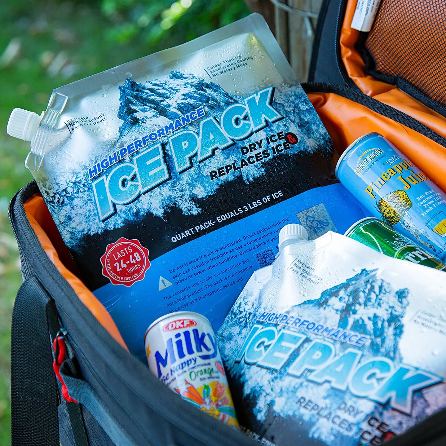 Reusable Ice Packs for Coolers